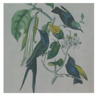 Naminote - Susumu Yokota
