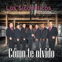 Como te olvido - Los Sicodelicos