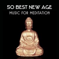 Hatha Yoga for Beginners - Blissful Meditation Academy