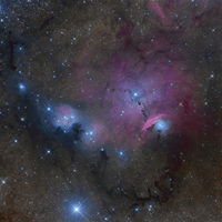 Dull Sheen - Pulso