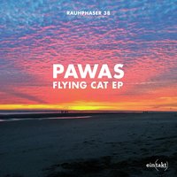 Flying Cat - Pawas