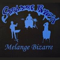 Wolf in Sheep's Clothing - Strange Brew