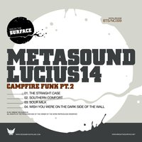 The Straight Case - Metasound & Lucius14