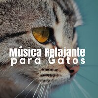 Estrés Relajando con la Música - Paraíso Secreto & Pet Care Music Therapy & Pet Care Music Therapy & Paraíso Secreto