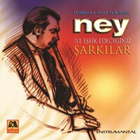 Aylar Geçiyor - Ergin Kızılay
