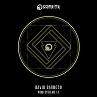 Perform - David Barroso