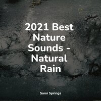 Under Glass - Trouble Sleeping Music Universe & Pure Serenity Spa Music & Massage Collective Garden & Zen Relaxation Meditation & Rain Sounds & White Noise