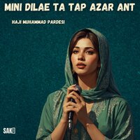 Mini Dilae Ta Tap Azar Ant - Haji Muhammad Pardesi