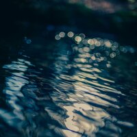 Morning Dew - Sven Laux