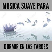 Meditación Sobre la Paciencia - Música Suave