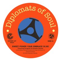 Sweet Power Your Embrace - Diplomats Of Soul & Incognito & Vanessa Haynes
