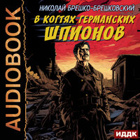 Николай Брешко-Брешковский. «В когтях германских шпионов». Часть 67 - Пётр Мальцов