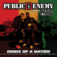 Hard Rhymin' - Public Enemy