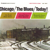 I Can't Quit You Baby - Otis Rush