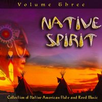 Navajo Chief - Andy Street