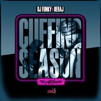 Can't Give Up - Deraj & DJ Funky & Emarie