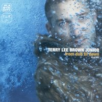 The Chase - Terry Lee Brown Junior