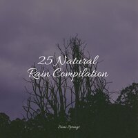 Droplets Fall - Spa & Deep Horizon Waves & Brown Noise