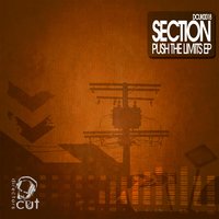 Push the Limits - Section & Junior Red