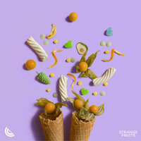 Ain't No Sunshine - Dance Fruits Music