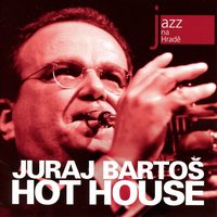 Blues Lee - Juraj Bartoš