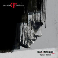 Falling Down - Decoded Feedback