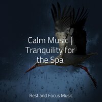 Start of Eternity - Soothing Chill Out For Insomnia & Serenity Spa Music Relaxation & Amazing Spa Music