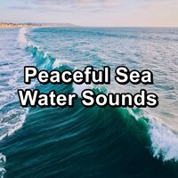 Sleepy Sea Sounds Soothing Sounds Loopable for 8 Hours - Sleeping Music & Sleep Music & Studying Music