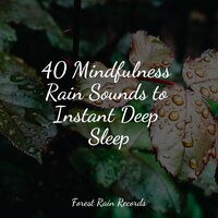 Rain in Window - Binaural Beats Isochronic Tones Lab & Relaxing Sleep Music & Sons da Natureza Relax