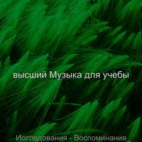 Мечты (Исследования) - высший Музыка для учебы