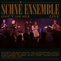 The Dress - Schné Ensemble & Ingo Höricht & Schné