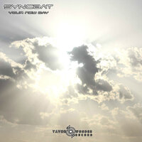 Your New Day - Syncbat