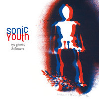 Small Flowers Crack Concrete - Sonic Youth