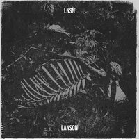 Nightschool - Lanson