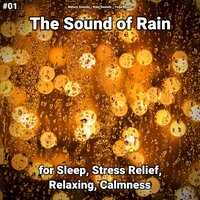 Sleep Sounds - Nature Sounds & Rain Sounds & Yoga Music