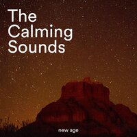 Dancing Hands - Hot Stones Front & The Coffee Breaks & Hot Stones Front & The Coffee Breaks