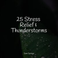 Crashing Waves - Pacific Rim Nature Sounds & Best Kids Songs & Tranquil Music Sounds of Nature