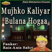 Suno Ganje Shakra Ke Lal Meri Jholi Bhardo - Rais Anis Sabri