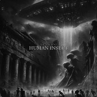 Ancient Angels - Human Insect