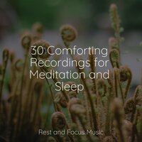 Tinkling Tones - Echoes of Nature & Meditação Maestro & Spa & Spa
