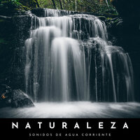 Sonidos De Un Fuerte Río - Naturaleza Sonidos & Músicas Relajantes & Agua Mantra