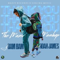 Thank You Mix (Maziv Mashup) - Lil Noah James & DJ Bam Bam