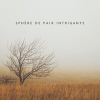 Beau mirage - Ensemble de Musique Magique