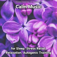 Meditation Music for Children and Parents - Relaxing Spa Music & Yoga & Relaxing Music by Finjus Yanez