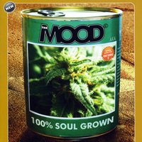 Rock It On Steady - The Mood a.k.a.