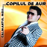 Bruneto... Bruneto - Sorin Copilul de Aur