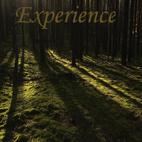 Experience - Pablo Huelsz