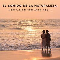 Suaves Corrientes Junto Al Bosque - Música para Dormir Con Relajantes Sonidos de la Naturaleza & Sonidos de la Naturaleza Relajacion & Relajacion Del Mar