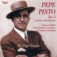 Porque una Madre Se Olvida - Pepe Pinto