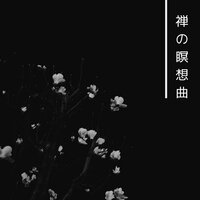 528ヘルツ - マインドフルネス瞑想